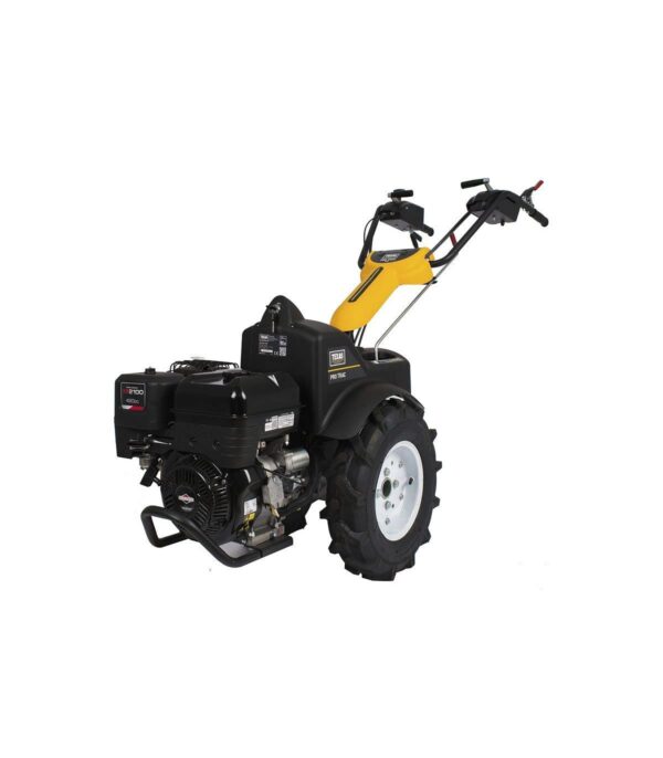 motoculteur-professionnel-motofaucheuse-420cc-14cv-briggs-et-stratton-6-vitesses-demarreur-electrique-texas-pro-trac (5) Motoculteur professionnel motofaucheuse 420cc 14cv Briggs et Stratton 6 vitesses démarreur électrique TEXAS Pro Trac