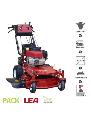 Tondeuse thermique professionnelle coupe 81cm Briggs Stratton 10,5 cv 344 cc DUNSCH 12344-81BS